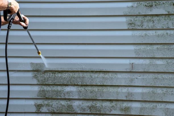 Best Composite Siding  in Vance, AL