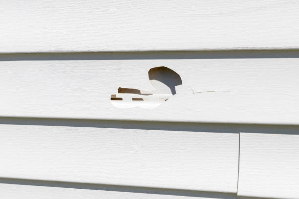 Best Weatherproofing and Sealing  in Vance, AL